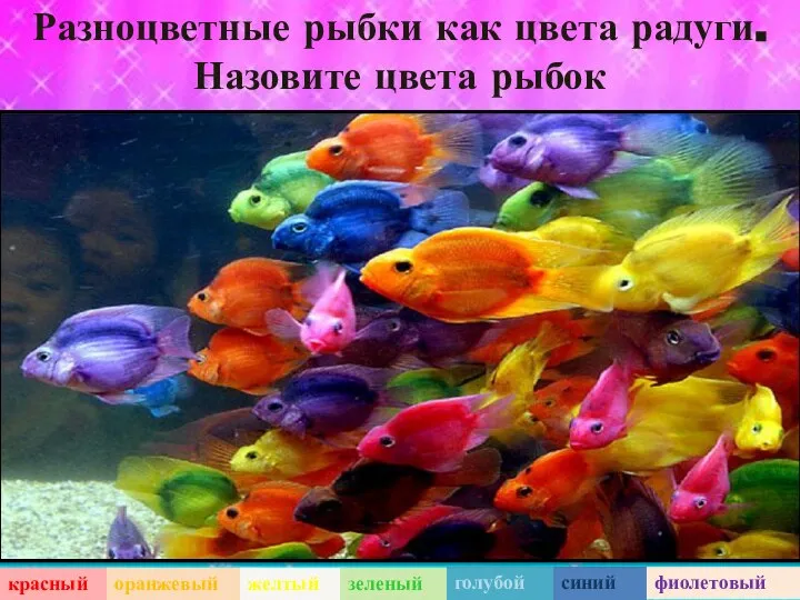 Разноцветные рыбки как цвета радуги. Назовите цвета рыбок красный оранжевый желтый зеленый голубой синий фиолетовый