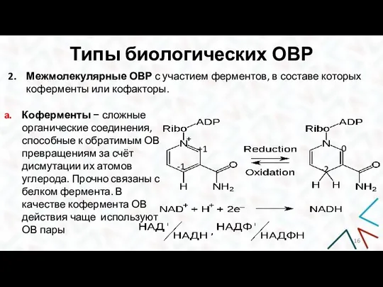 Типы биологических ОВР Межмолекулярные ОВР с участием ферментов, в составе которых коферменты