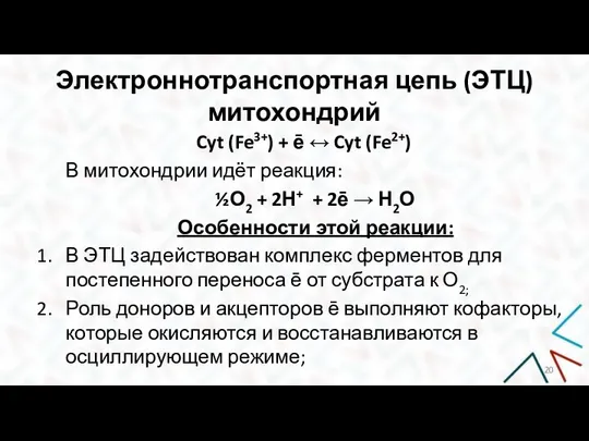 Электроннотранспортная цепь (ЭТЦ) митохондрий Cyt (Fe3+) + ē ↔ Cyt (Fe2+) В