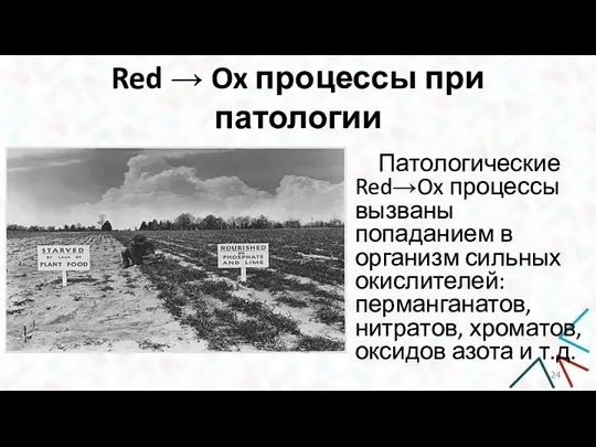 Red → Ox процессы при патологии Патологические Red→Ox процессы вызваны попаданием в