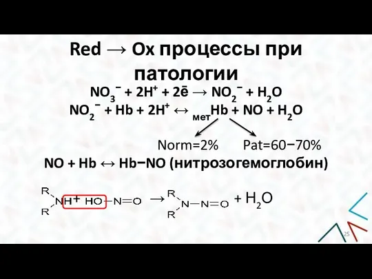 Red → Ox процессы при патологии NO3− + 2H+ + 2ē →