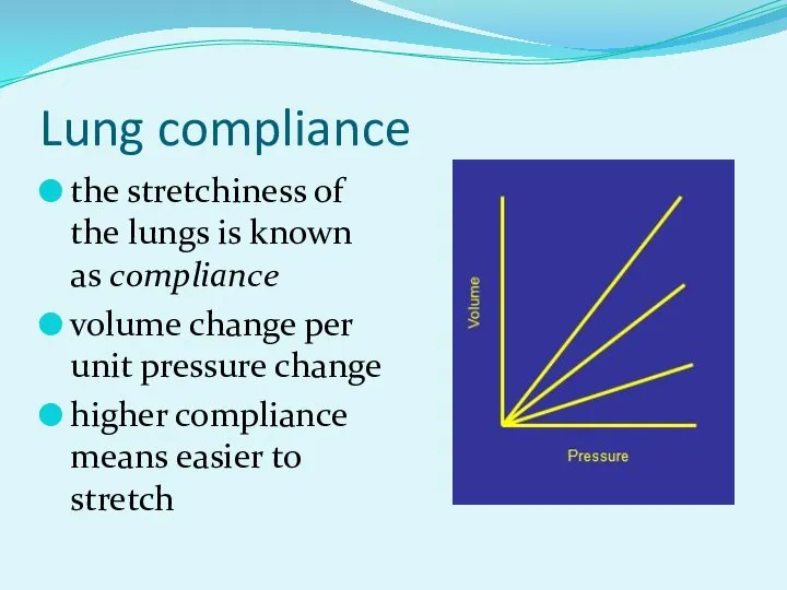 Lung compliance the stretchiness of the lungs is known as compliance volume