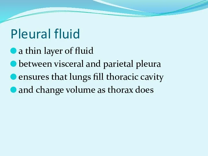 Pleural fluid a thin layer of fluid between visceral and parietal pleura