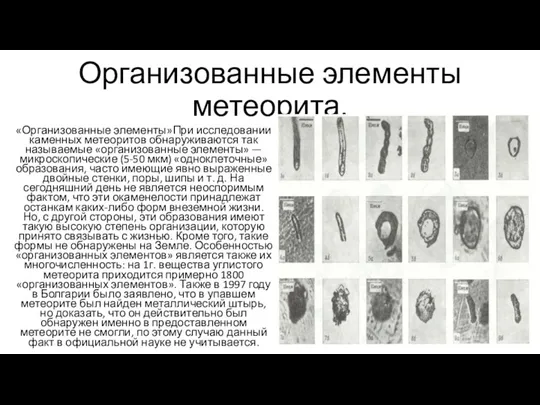 Организованные элементы метеорита. «Организованные элементы»При исследовании каменных метеоритов обнаруживаются так называемые «организованные