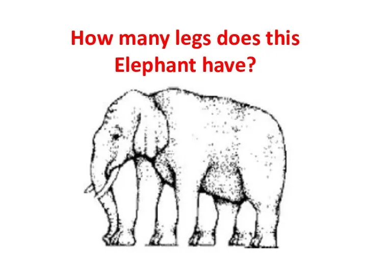 How many legs does this Elephant have?