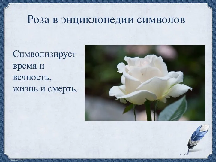 Роза в энциклопедии символов Символизирует время и вечность, жизнь и смерть.