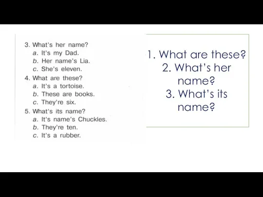 1. What are these? 2. What’s her name? 3. What’s its name?