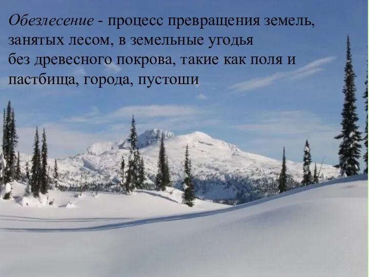 Обезлесение - процесс превращения земель, занятых лесом, в земельные угодья без древесного