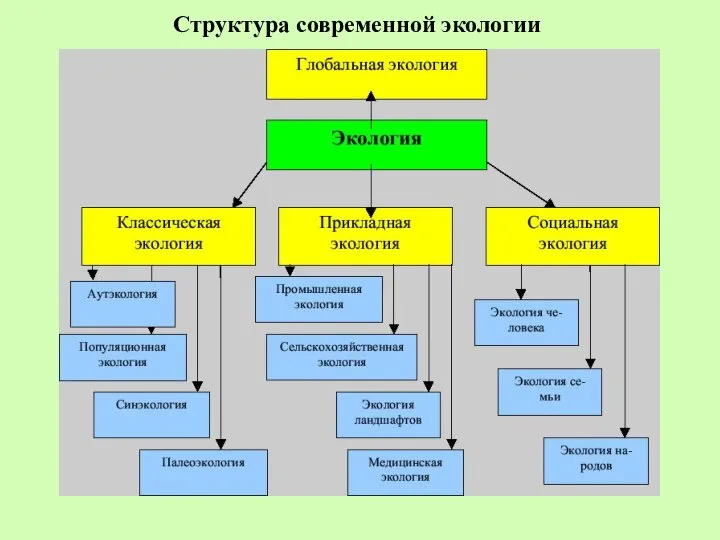 Структура современной экологии