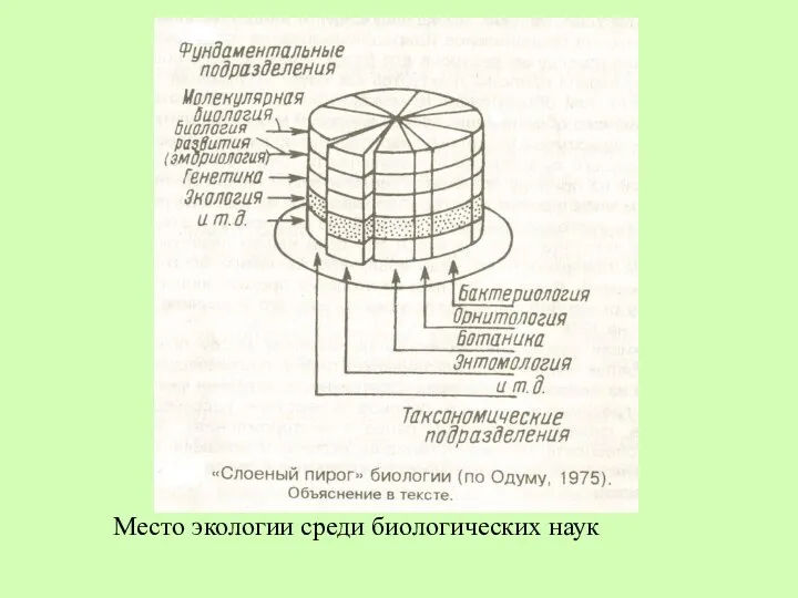 Место экологии среди биологических наук