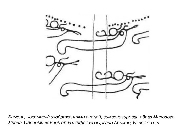Камень, покрытый изображениями оленей, символизировал образ Мирового Древа. Оленный камень близ скифского