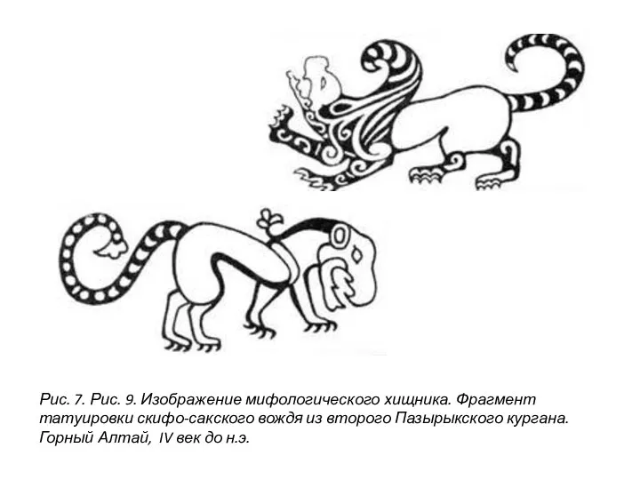 Рис. 7. Рис. 9. Изображение мифологического хищника. Фрагмент татуировки скифо-сакского вождя из