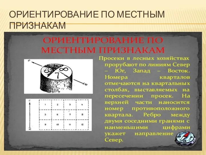 ОРИЕНТИРОВАНИЕ ПО МЕСТНЫМ ПРИЗНАКАМ