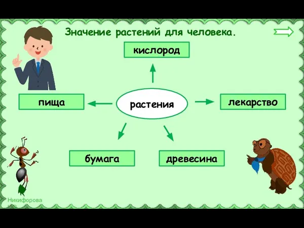 Значение растений для человека. растения кислород лекарство древесина пища бумага