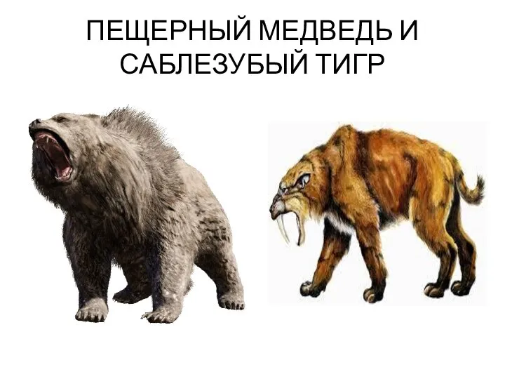 ПЕЩЕРНЫЙ МЕДВЕДЬ И САБЛЕЗУБЫЙ ТИГР