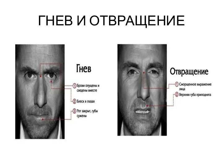 ГНЕВ И ОТВРАЩЕНИЕ