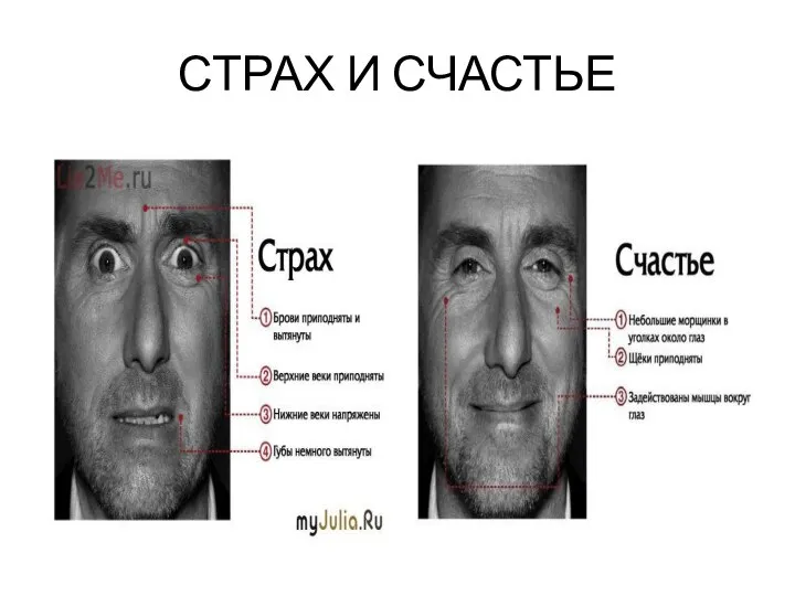 СТРАХ И СЧАСТЬЕ