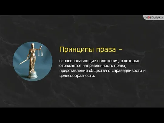 Принципы права – основополагающие положения, в которых отражается направленность права, представления общества о справедливости и целесообразности.