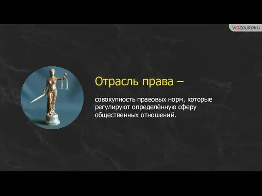 Отрасль права – совокупность правовых норм, которые регулируют определённую сферу общественных отношений.