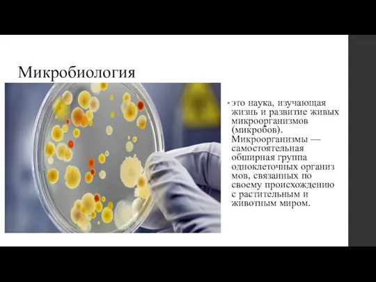 Микробиология это наука, изучающая жизнь и развитие живых микроорганизмов (микробов). Микроорганизмы —