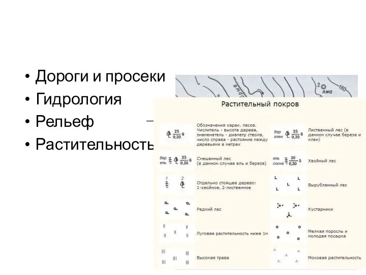 Дороги и просеки Гидрология Рельеф Растительность