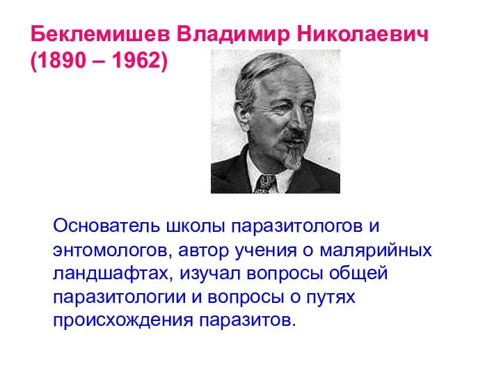 Беклемишев Владимир Николаевич (1890 – 1962) Основатель школы паразитологов и энтомологов, автор