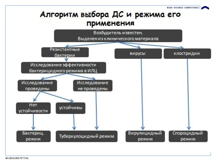 BODEQUER.PPT/XX,