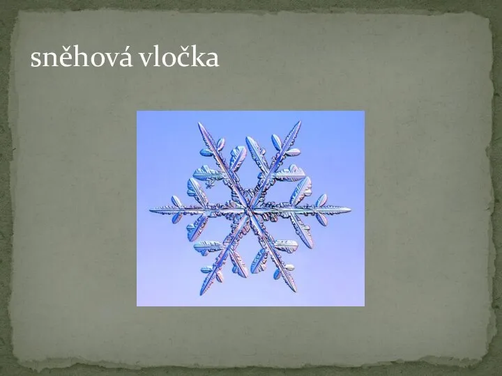 sněhová vločka