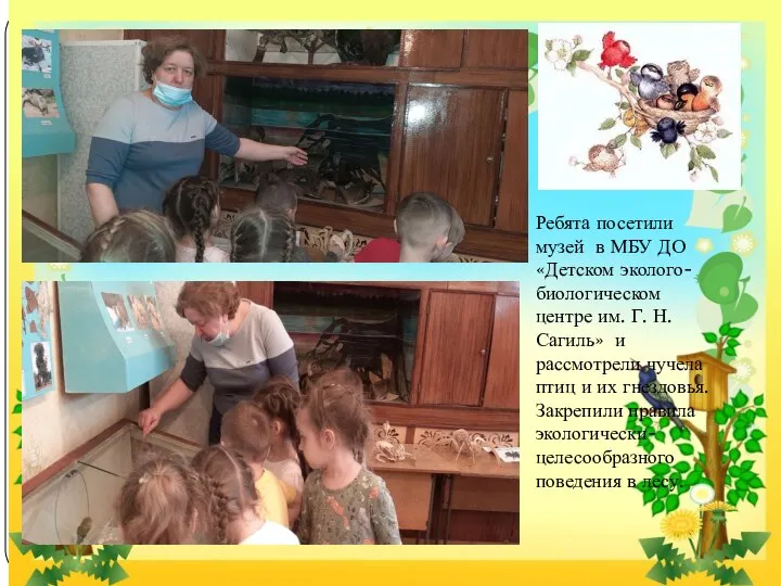 Ребята посетили музей в МБУ ДО «Детском эколого-биологическом центре им. Г. Н.