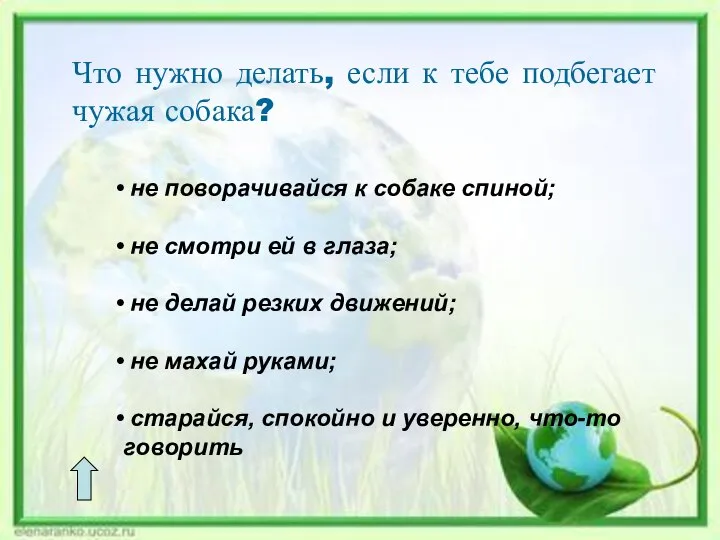 Что нужно делать, если к тебе подбегает чужая собака? не поворачивайся к