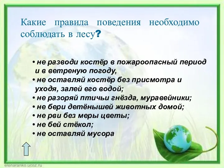 Какие правила поведения необходимо соблюдать в лесу? не разводи костёр в пожароопасный