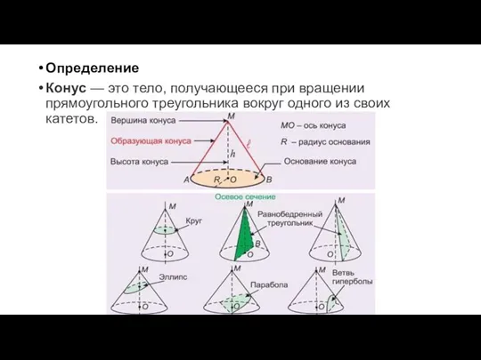 Определение Конус — это тело, получающееся при вращении прямоугольного треугольника вокруг одного из своих катетов.