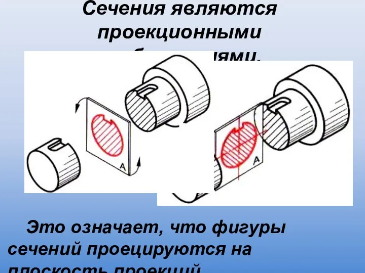Сечения являются проекционными изображениями. Это означает, что фигуры сечений проецируются на плоскость проекций.