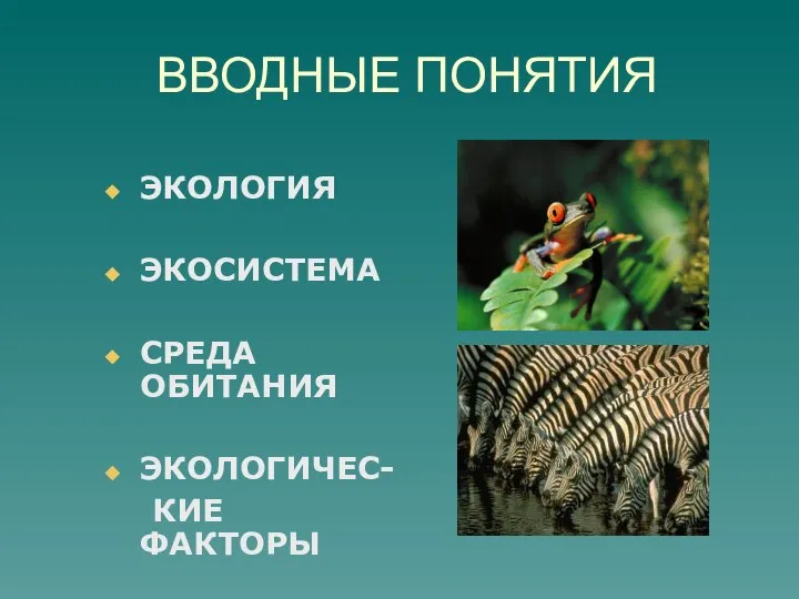 ВВОДНЫЕ ПОНЯТИЯ ЭКОЛОГИЯ ЭКОСИСТЕМА СРЕДА ОБИТАНИЯ ЭКОЛОГИЧЕС- КИЕ ФАКТОРЫ