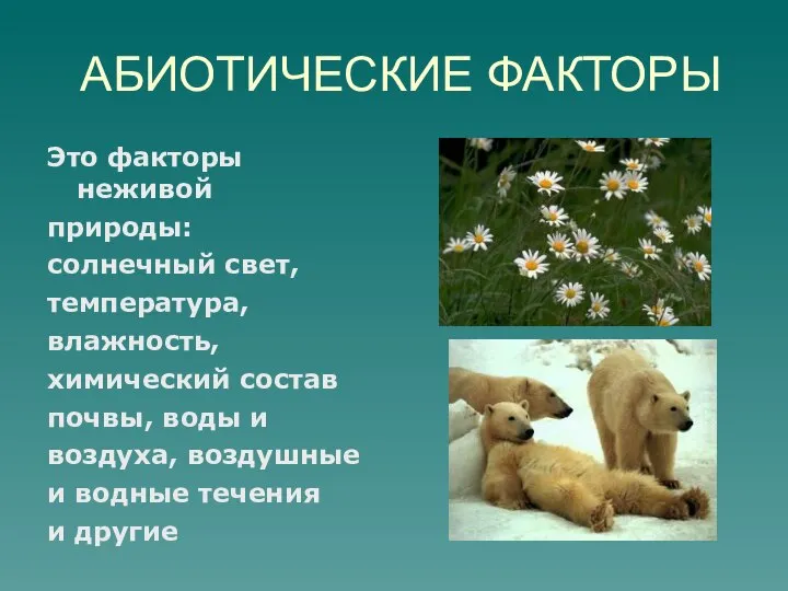 АБИОТИЧЕСКИЕ ФАКТОРЫ Это факторы неживой природы: солнечный свет, температура, влажность, химический состав