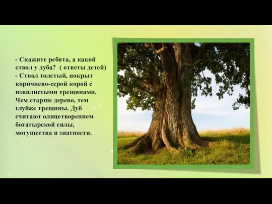 - Скажите ребята, а какой ствол у дуба? ( ответы детей) -