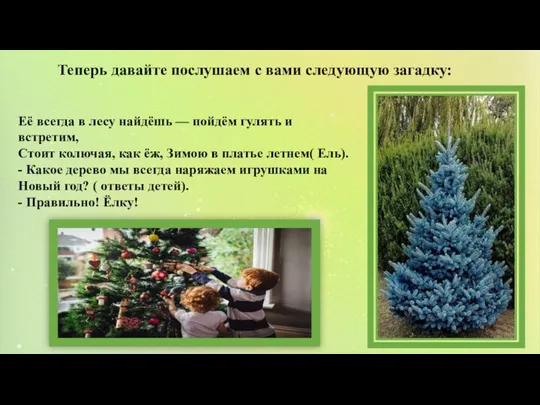 Её всегда в лесу найдёшь — пойдём гулять и встретим, Стоит колючая,