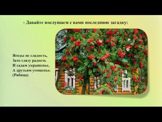 - Давайте послушаем с вами последнюю загадку: Ягоды не сладость, Зато глазу