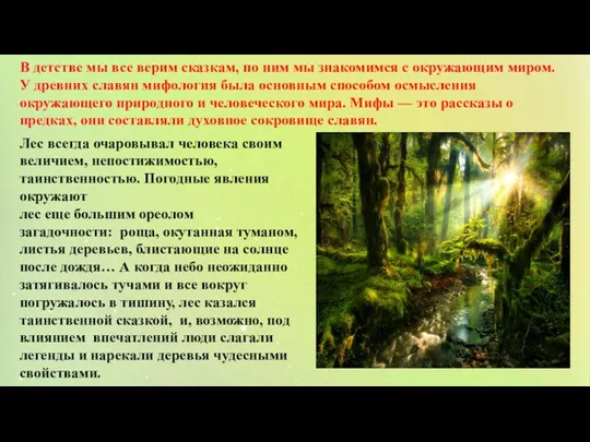 Лес всегда очаровывал человека своим величием, непостижимостью, таинственностью. Погодные явления окружают лес