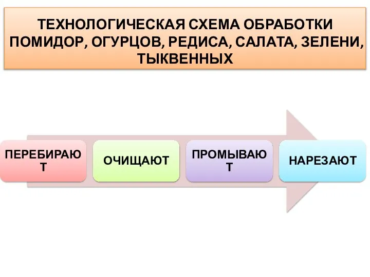 ТЕХНОЛОГИЧЕСКАЯ СХЕМА ОБРАБОТКИ ПОМИДОР, ОГУРЦОВ, РЕДИСА, САЛАТА, ЗЕЛЕНИ, ТЫКВЕННЫХ