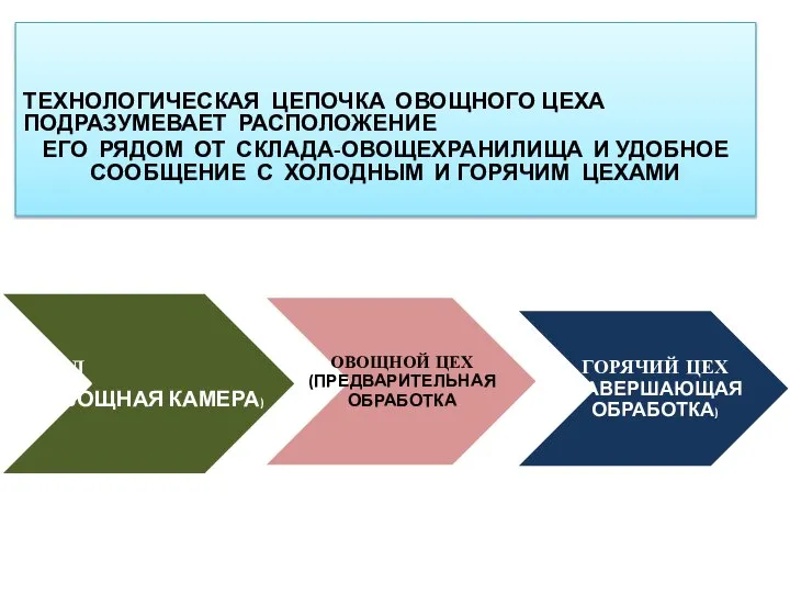 ТЕХНОЛОГИЧЕСКАЯ ЦЕПОЧКА ОВОЩНОГО ЦЕХА ПОДРАЗУМЕВАЕТ РАСПОЛОЖЕНИЕ ЕГО РЯДОМ ОТ СКЛАДА-ОВОЩЕХРАНИЛИЩА И УДОБНОЕ