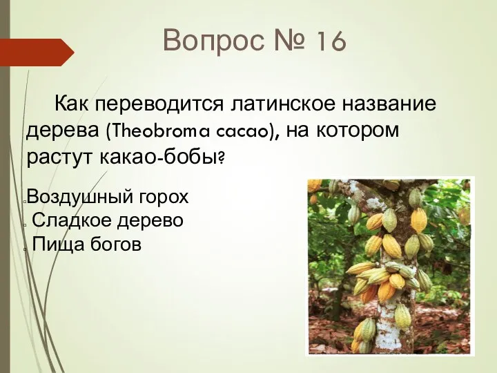 Вопрос № 16 Как переводится латинское название дерева (Theobroma cacao), на котором