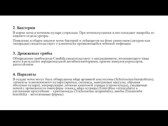 2. Бактерии В норме моча в мочевом пузыре стерильна. При мочеиспускании в