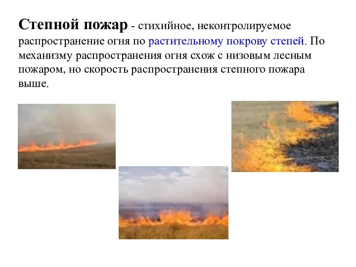 Степной пожар - стихийное, неконтролируемое распространение огня по растительному покрову степей. По