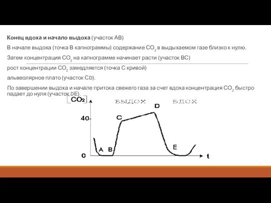 Конец вдоха и начало выдоха (участок АВ) В начале выдоха (точка В