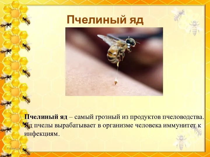 Пчелиный яд Пчелиный яд – самый грозный из продуктов пчеловодства. Яд пчелы