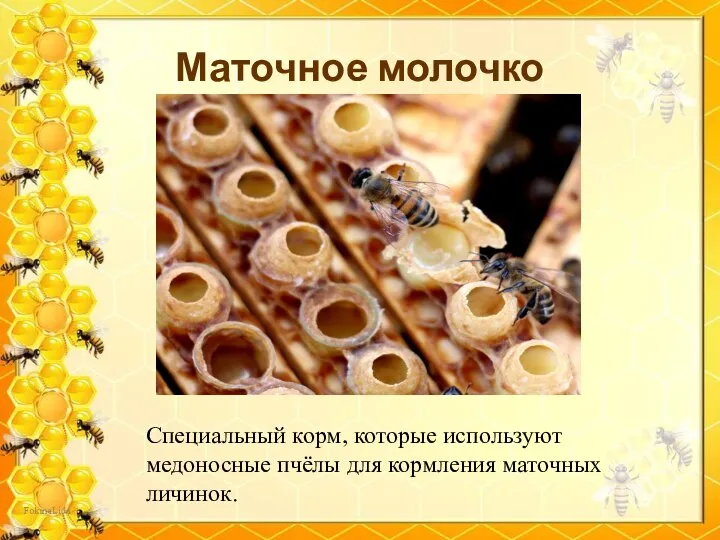 Маточное молочко Специальный корм, которые используют медоносные пчёлы для кормления маточных личинок.
