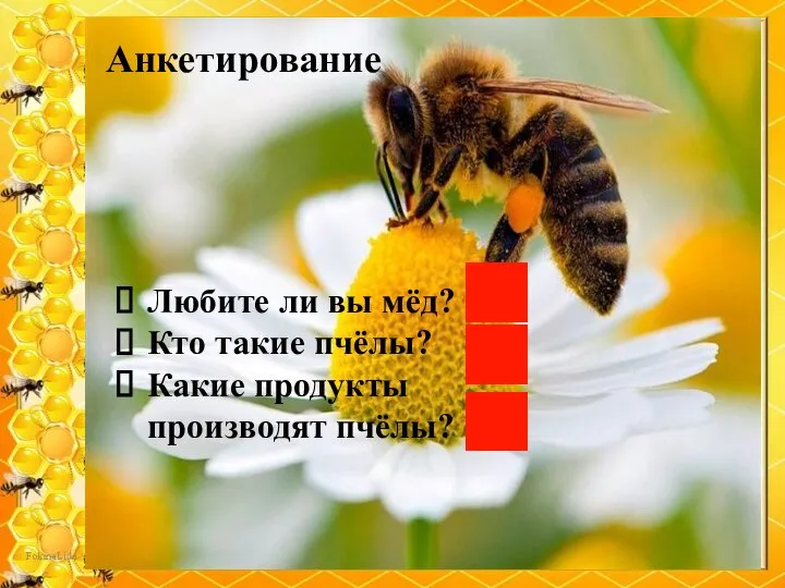 Анкетирование Любите ли вы мёд? Кто такие пчёлы? Какие продукты производят пчёлы?