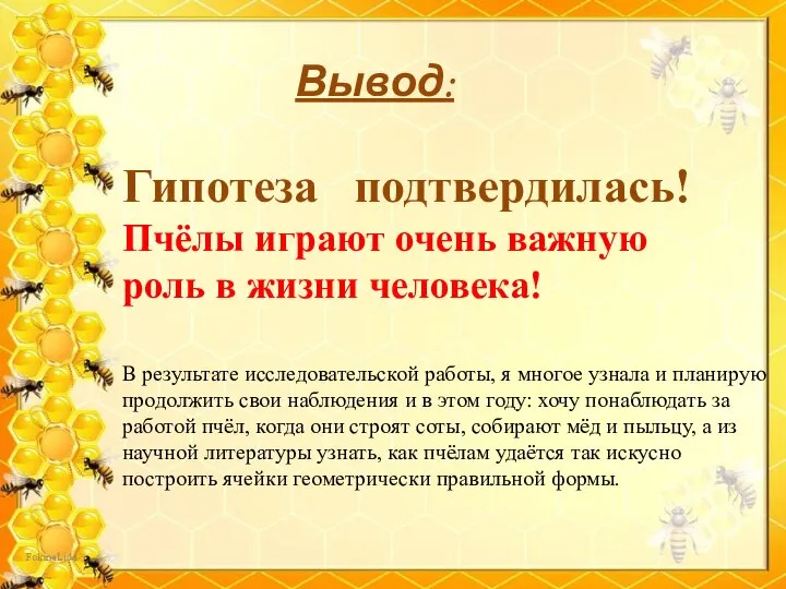 Вывод: Гипотеза подтвердилась! Пчёлы играют очень важную роль в жизни человека! В