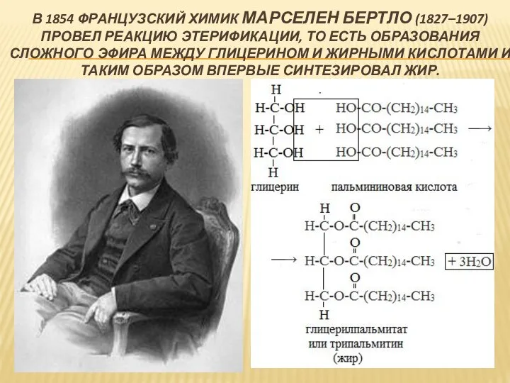 В 1854 ФРАНЦУЗСКИЙ ХИМИК МАРСЕЛЕН БЕРТЛО (1827–1907) ПРОВЕЛ РЕАКЦИЮ ЭТЕРИФИКАЦИИ, ТО ЕСТЬ